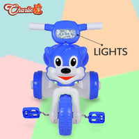 FunRide Tricycle for Kids with Music and Lights - Charlie Foldable Baby Tricycles - Trikes for Boys and Girls 18-36 Months - (Weight - Upto 18 Kg)