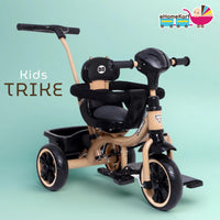 Fun Ride Kids Aster Tricycle with 360 Rotatable Seat, Parental Control Handle for 1.5 to 5 Years - Musical Trike for Kids with Safety Handle for Boys and Girls (Green)