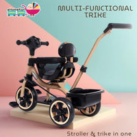 Fun Ride Kids Aster Tricycle with 360 Rotatable Seat, Parental Control Handle for 1.5 to 5 Years - Musical Trike for Kids with Safety Handle for Boys and Girls (Green)