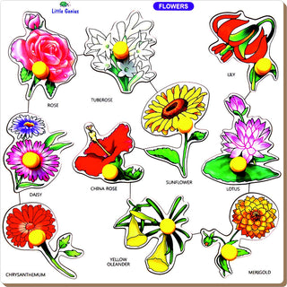 Little Genius Flower Tray with Big Knob (Large)